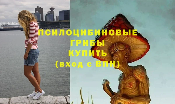 молекула духа Балабаново