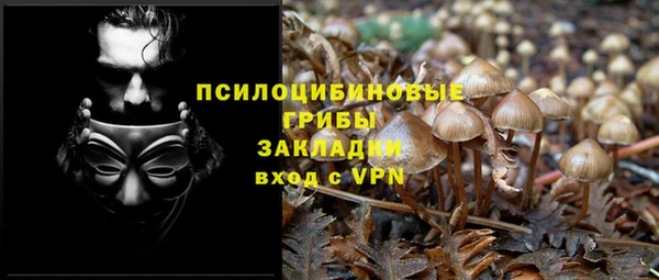 молекула духа Балабаново